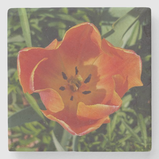 Dessous-de-verre En Pierre fleur rouge de printemps  (Devant)