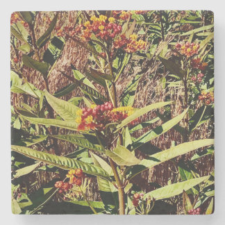 Dessous-de-verre En Pierre FLEUR SAUVAGE WI ROUGE en AUTOMNE