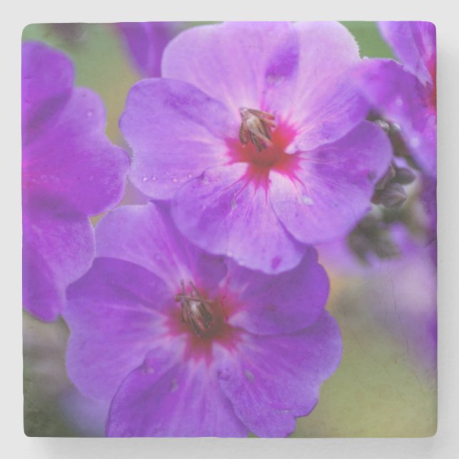 Dessous-de-verre En Pierre Fleur violette (Devant)