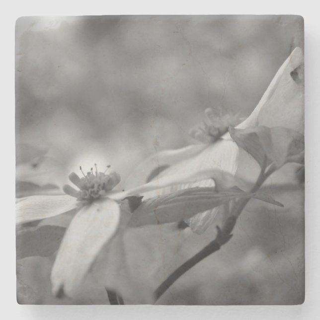 Dessous-de-verre En Pierre Fleurs De Dogwood En Noir Et Blanc (Devant)