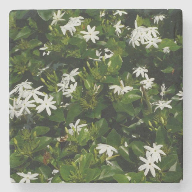 Dessous-de-verre En Pierre Fleurs de jasmin Botanique tropicale florale (Devant)