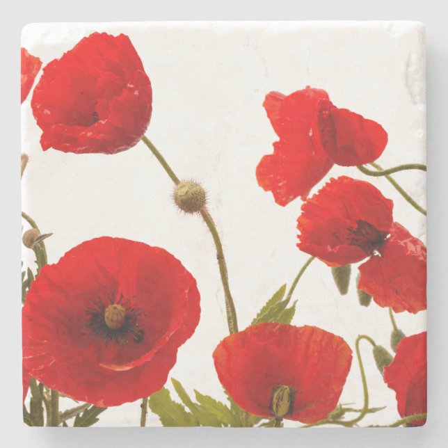 Dessous-de-verre En Pierre Fleurs de pavot rouge printanier Flore Blanc tenda (Devant)