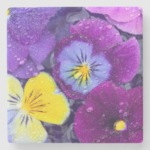 Dessous-de-verre En Pierre Fleurs de pensée flottant dans un bain d'oiseau av