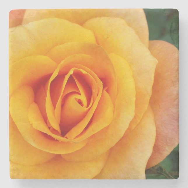 Dessous-de-verre En Pierre fleurs de rose jaune (Devant)