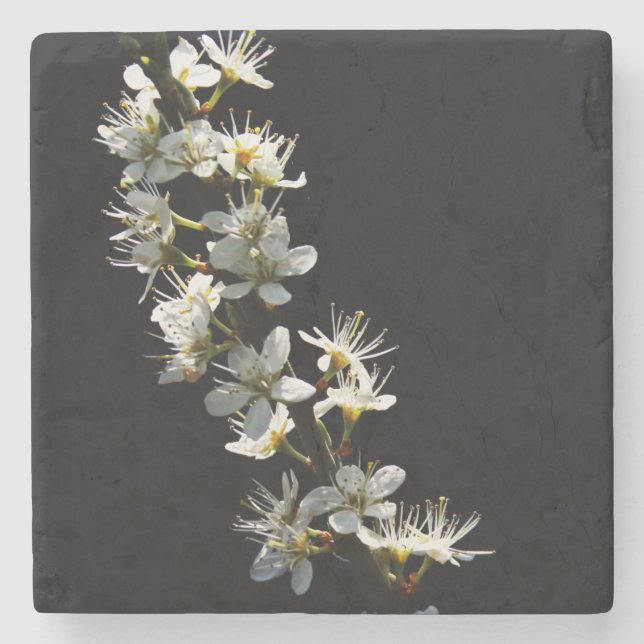 Dessous-de-verre En Pierre Fleurs d'épinette (Devant)