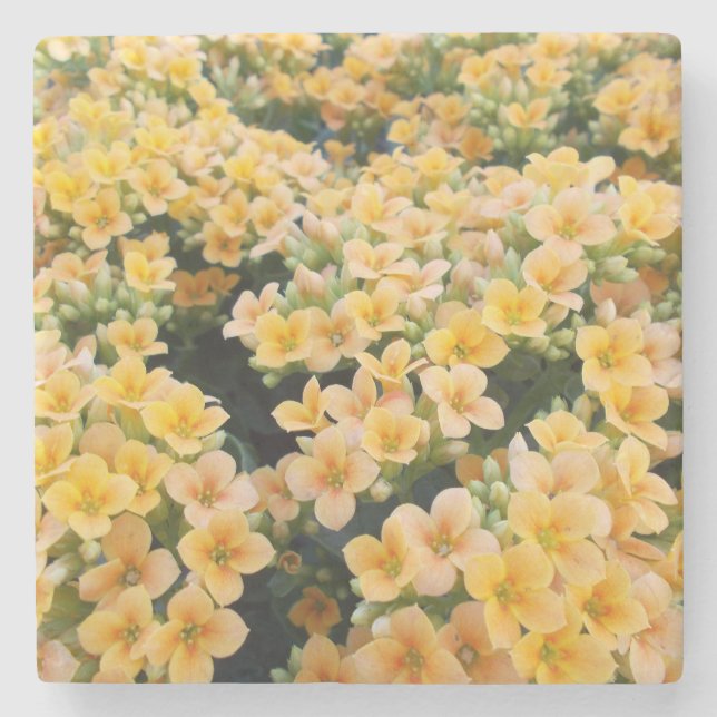 Dessous-de-verre En Pierre Fleurs Jaunes (Devant)