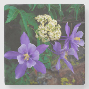 Dessous-de-verre En Pierre Fleurs sauvages de colombine mutante