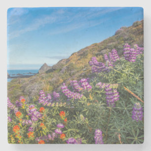 Dessous-de-verre En Pierre Fleurs sauvages de lupin et de pinceau à peinture
