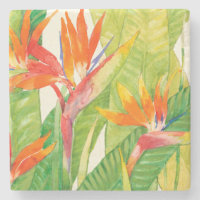 Fleurs tropicales | Oiseau du paradis