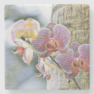 Dessous-de-verre En Pierre Fleurs vintages d'orchidées violettes roses sur le