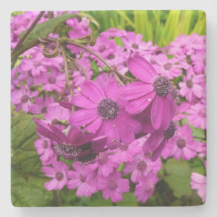 Dessous-de-verre En Pierre Fleurs violettes de San Francisco