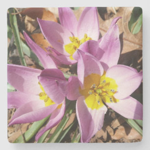 Dessous-de-verre En Pierre Floral de Pink
