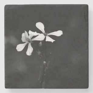 Dessous-de-verre En Pierre floral noir et blanc minimal