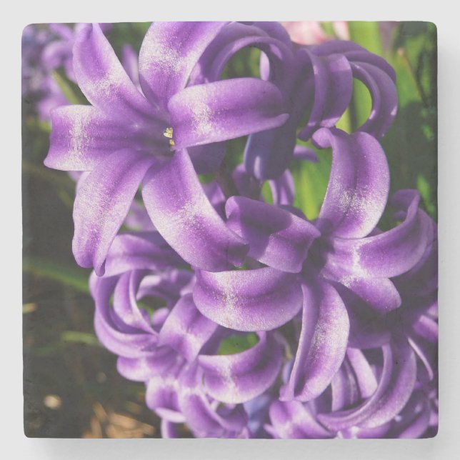 Dessous-de-verre En Pierre Flore de printemps Blue Hyacinth II (Devant)