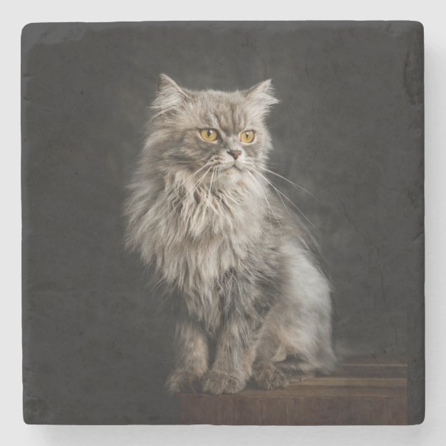 Dessous-de-verre En Pierre Fluffy Gris (Devant)