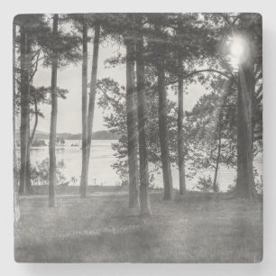 Dessous-de-verre En Pierre Foggy Arbres À Niveaux De Gris De Table Rock