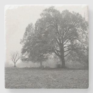 Dessous-de-verre En Pierre Foggy Automne Niveaux de gris