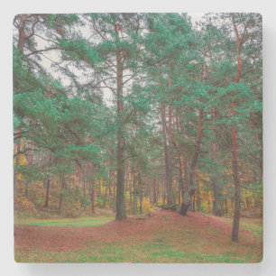 Dessous-de-verre En Pierre Forêt d'automne