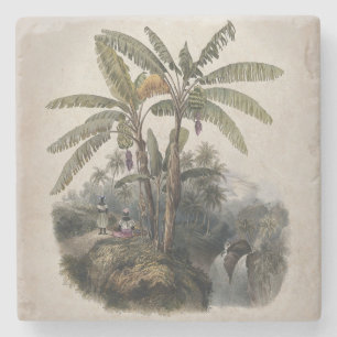 Dessous-de-verre En Pierre Forêt de bananiers tropicaux antiques   Bota vinta