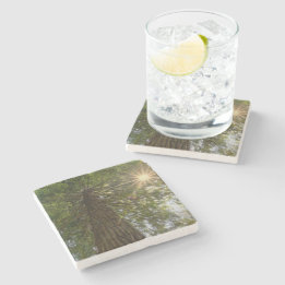 Dessous-de-verre En Pierre Forêt paisible avec photo de la nature à la lumièr