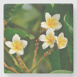 Dessous-de-verre En Pierre Frangipani jaune