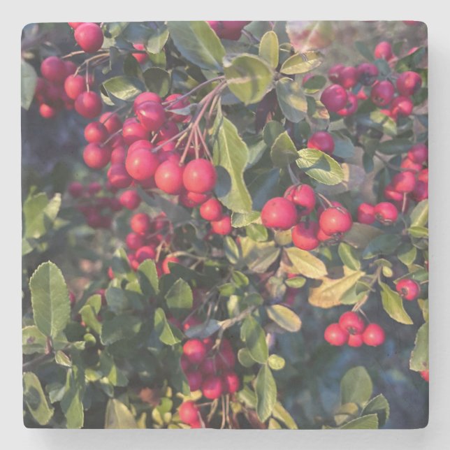 Dessous-de-verre En Pierre Fruit d'automne (Devant)