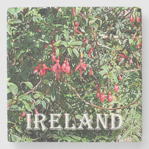 Dessous-de-verre En Pierre Fuschia, Irlande, caboteur de marbre