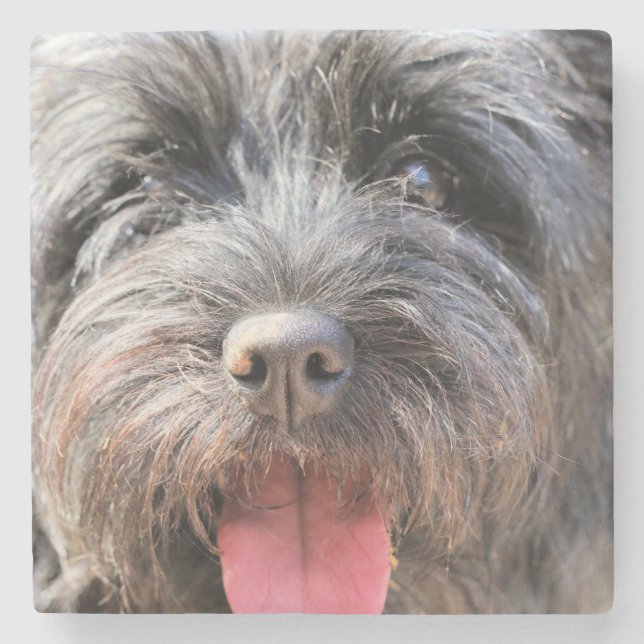 Dessous-de-verre En Pierre Fuzzy (Devant)