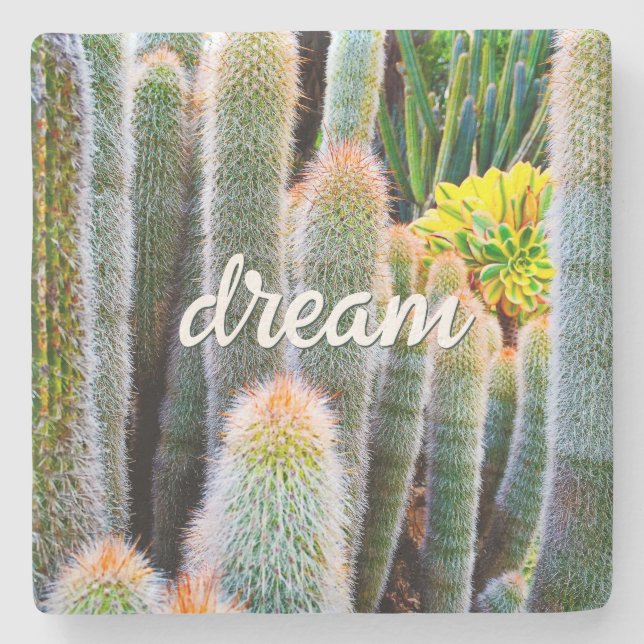 Dessous-de-verre En Pierre Fuzzy Green Cactus Succulent Photo Dream Script (Devant)