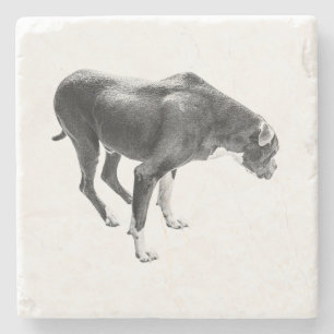 Dessous-de-verre En Pierre Gardien de table d'automne