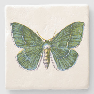 Dessous-de-verre En Pierre Geometra papilionaria - La Grande Moth Émeraude
