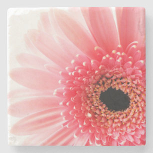 Dessous-de-verre En Pierre Gerbera marguerite