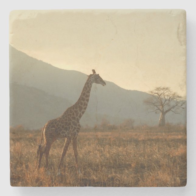 Dessous-de-verre En Pierre Giraffe dans la Savannah (Devant)