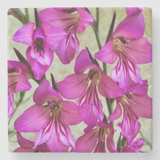 Dessous-de-verre En Pierre Gladiolus byzantin (Devant)