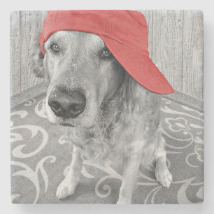 Dessous-de-verre En Pierre golden retriever en baseball casquette