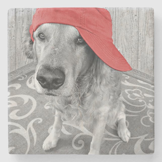 Dessous-de-verre En Pierre golden retriever en baseball casquette (Devant)