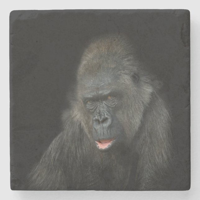 Dessous-de-verre En Pierre Gorilla Biddy (Devant)