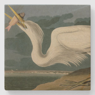 Dessous-de-verre En Pierre Grand héron blanc, des oiseaux d'Amérique d'Audubo