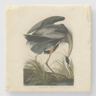 Dessous-de-verre En Pierre Grand Héron bleu d'Audubon Marais Oiseau