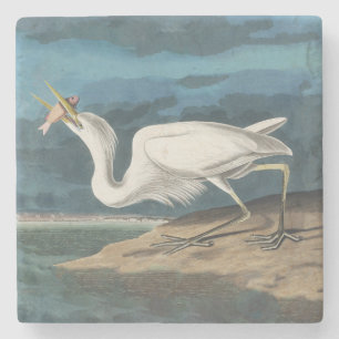 Dessous-de-verre En Pierre Grande Peinture de la faune d'Audubon Heron blanc