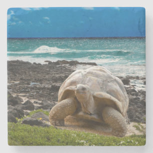 Dessous-de-verre En Pierre Grande tortue au bord de mer