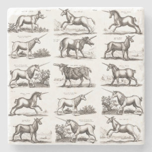 Dessous-de-verre En Pierre Gravure de licorne antique Spécimen de zoologie vi