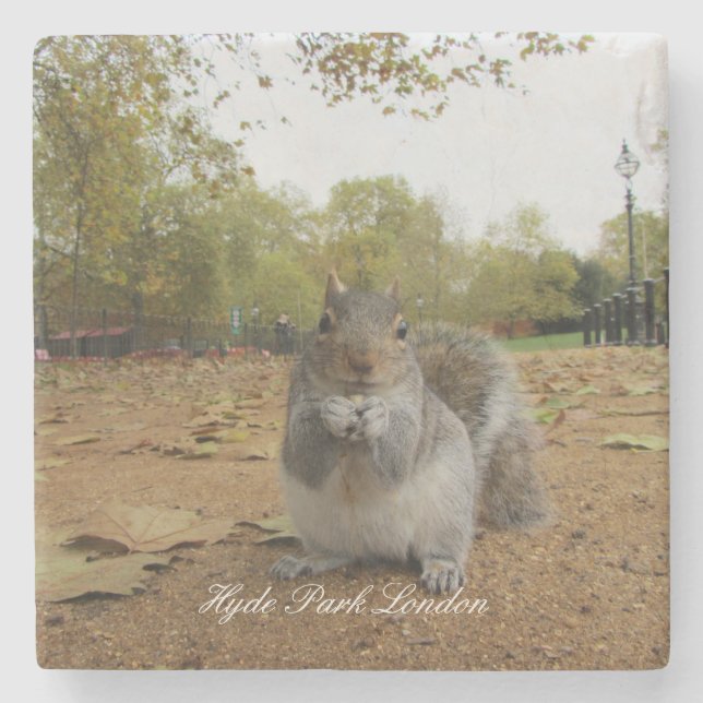 Dessous-de-verre En Pierre Gray Squirrel Hyde Park Londres. (Devant)