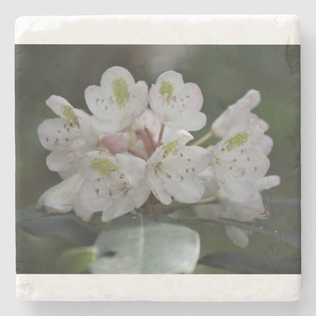 Dessous-de-verre En Pierre Great Laurel (Devant)