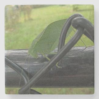 Dessous-de-verre En Pierre Green Katydid on Black Fence