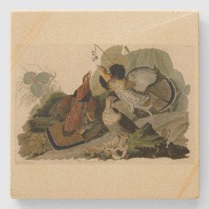 Dessous-de-verre En Pierre Grouse rouffé - d'Audubon's Birds of America