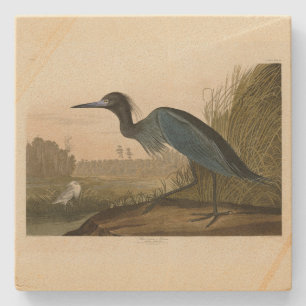 Dessous-de-verre En Pierre Grue bleue, Heron, d'Audubon's Birds of America