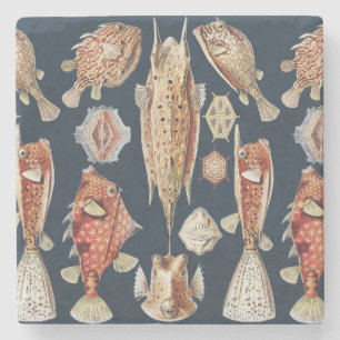 Dessous-de-verre En Pierre Haeckel Ostraciontes Poissons Tropicaux Art de la