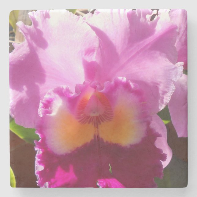 Dessous-de-verre En Pierre Harlinde (Devant)