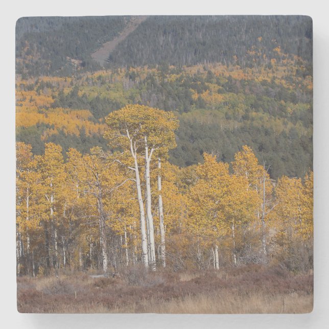 Dessous-de-verre En Pierre Hart Prairie (Devant)